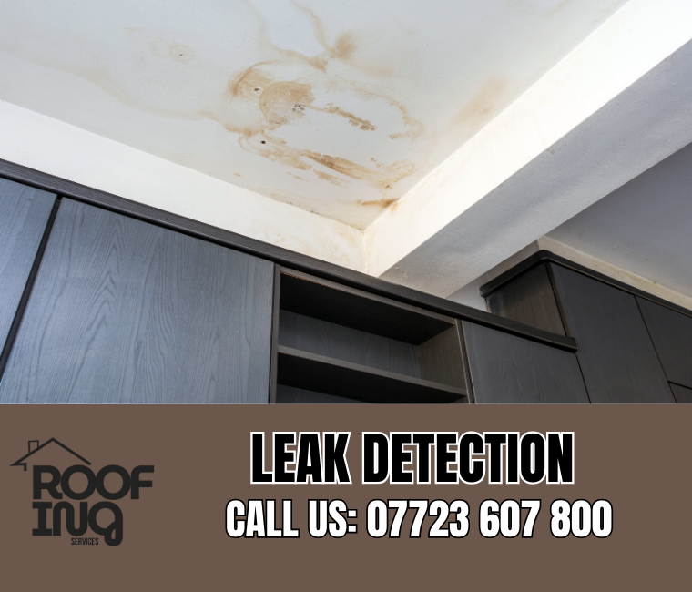 Roof leak detection and repair in Okehampton