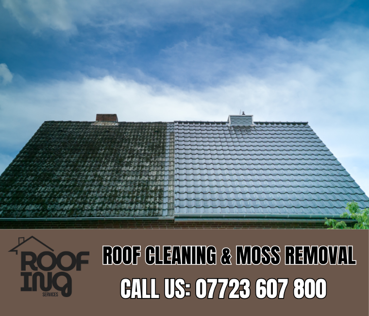 Roof Cleaning in Okehampton